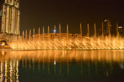 DSC_4110 (Large).JPG